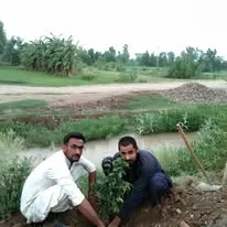 Green Seekers Activity